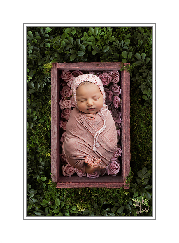 Best Tacoma newborn photographer